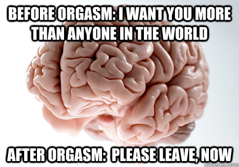 Before orgasm: I want you more than anyone in the world After orgasm:  Please leave, now  Scumbag Brain