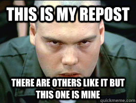 This is my repost There are others like it but this one is mine  