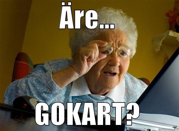 ÄRE... GOKART? Grandma finds the Internet