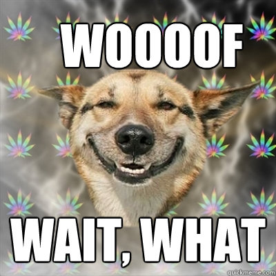 WOOOOF WAIT, WHAT   Stoner Dog