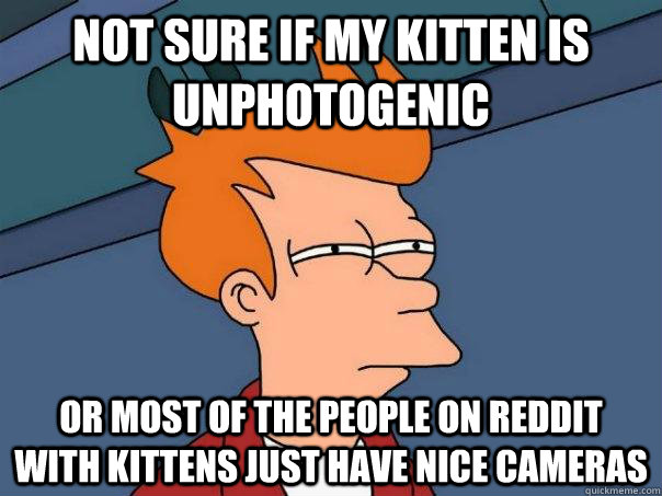not sure if my kitten is unphotogenic Or most of the people on reddit with kittens just have nice cameras - not sure if my kitten is unphotogenic Or most of the people on reddit with kittens just have nice cameras  Futurama Fry