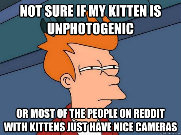 not sure if my kitten is unphotogenic Or most of the people on reddit with kittens just have nice cameras  Futurama Fry