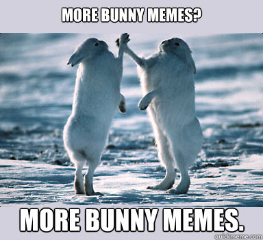 More bunny memes? MORE BUNNY MEMES. - More bunny memes? MORE BUNNY MEMES.  Bunny Bros