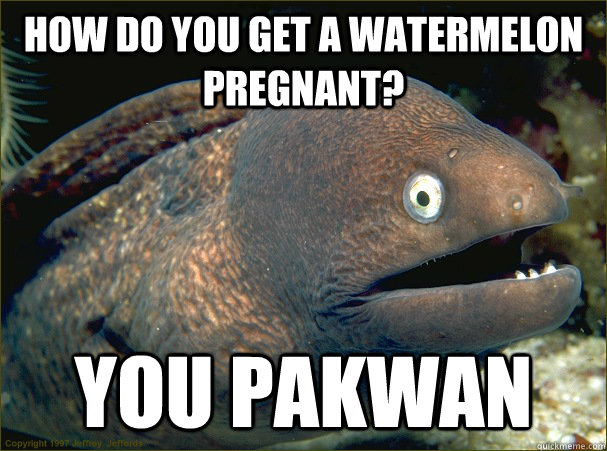 How do you get a watermelon pregnant? You Pakwan - How do you get a watermelon pregnant? You Pakwan  Bad Joke Eel