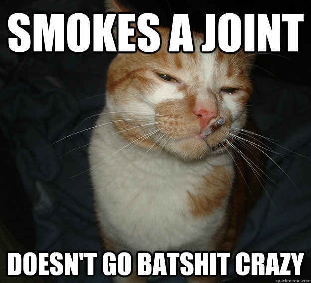Smokes a joint Doesn't go batshit crazy  Cool Cat Craig