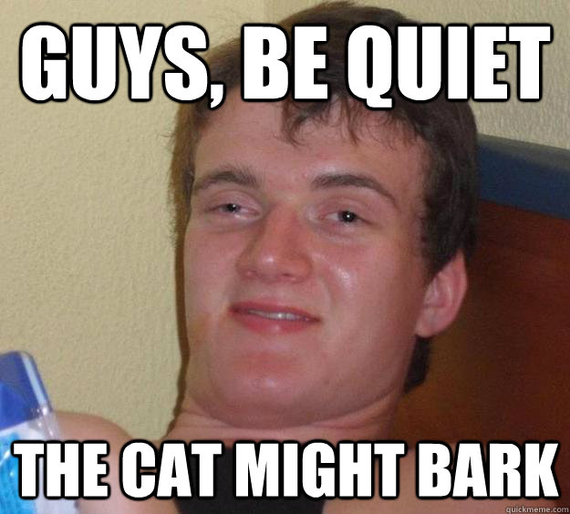 Guys, be quiet The cat might bark - Guys, be quiet The cat might bark  10 Guy