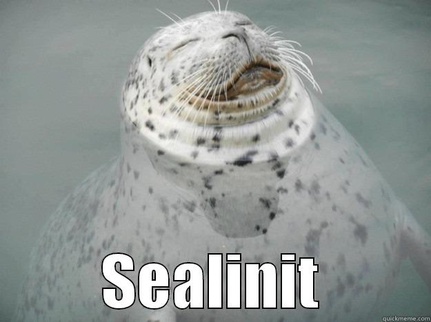 If you can't Kellonit.... -  SEALINIT Zen Seal