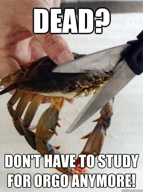 Dead? Don't have to study for orgo anymore! - Dead? Don't have to study for orgo anymore!  Optimistic Crab
