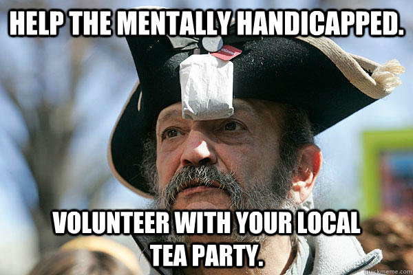 Help the mentally handicapped. Volunteer with your local             Tea Party.  Tea Party Ted