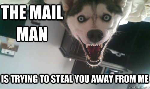 the mail man is trying to steal you away from me - the mail man is trying to steal you away from me  Obsessive Dogfriend