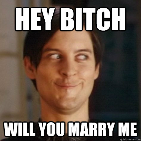 Hey bitch will you marry me - Hey bitch will you marry me  seriously happy tobey maguire