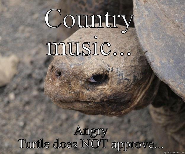 COUNTRY MUSIC... ANGRY TURTLE DOES NOT APPROVE... Angry Turtle