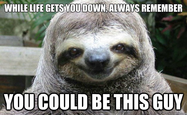 While life gets you down, always remember You could be this guy - While life gets you down, always remember You could be this guy  Sloth