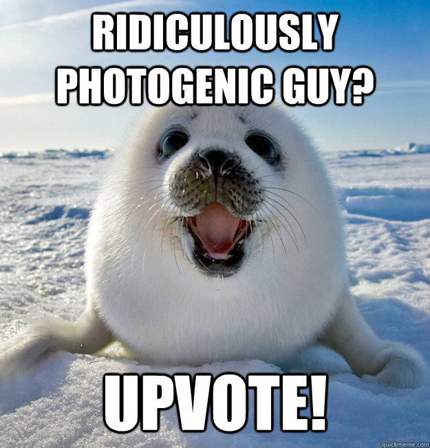 ridiculously photogenic guy? Upvote!  Easily Pleased Seal