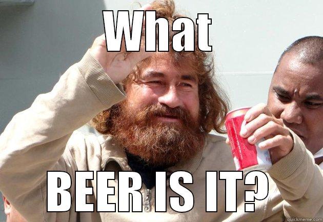 WHAT BEER IS IT? Misc