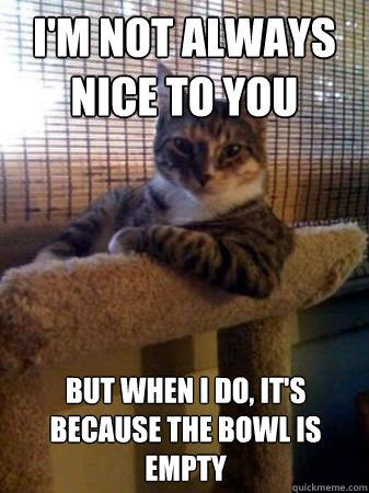 I'm not always nice to you but when I do, it's because the bowl is empty  The Most Interesting Cat in the World