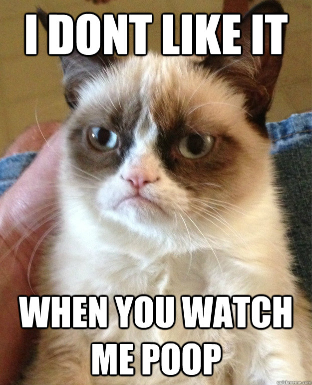 I dont like it When You Watch Me Poop  Grumpy Cat is so sick of this shit