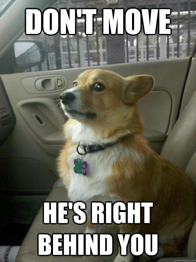 Don't move He's right behind you - Don't move He's right behind you  Misc