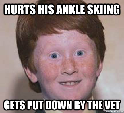hurts his ankle skiing gets put down by the vet  Over Confident Ginger