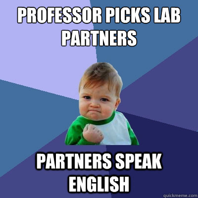 Professor Picks lab partners Partners speak english - Professor Picks lab partners Partners speak english  Success Kid