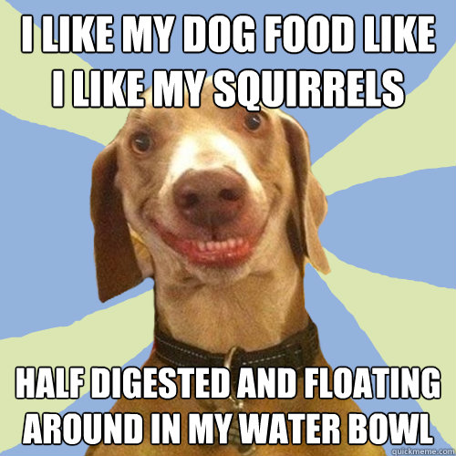 I like my dog food like I like my squirrels  half digested and floating around in my water bowl  Disgusting Doggy