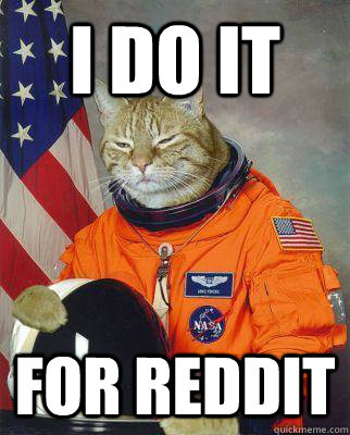 I do it  for reddit - I do it  for reddit  Astronaut cat