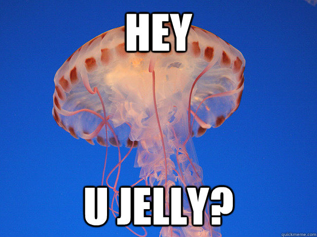hey u jelly?  