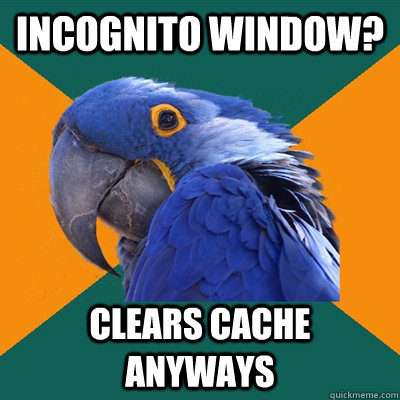 incognito window? clears cache anyways  Paranoid Parrot