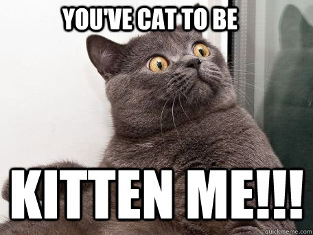 You've cat to be KITTEN ME!!!  