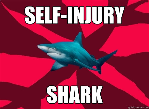 Self-Injury Shark  Self-Injury Shark