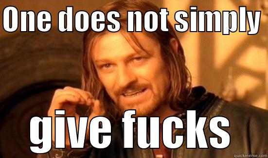 ONE DOES NOT SIMPLY  GIVE FUCKS Boromir
