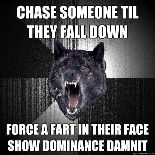 chase someone til they fall down force a fart in their face show dominance damnit  Insanity Wolf