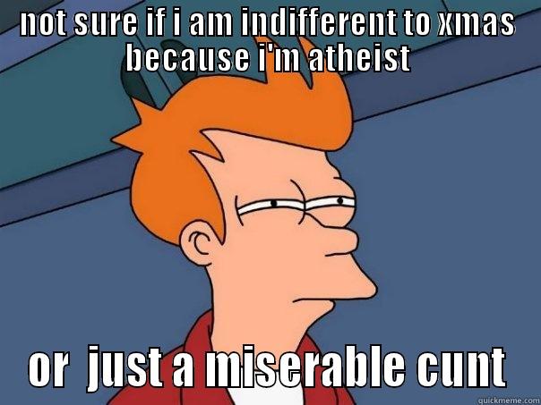 NOT SURE IF I AM INDIFFERENT TO XMAS BECAUSE I'M ATHEIST OR  JUST A MISERABLE CUNT Futurama Fry