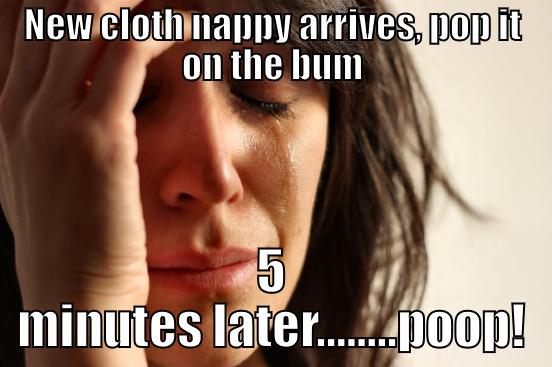 NEW CLOTH NAPPY ARRIVES, POP IT ON THE BUM 5 MINUTES LATER........POOP! First World Problems