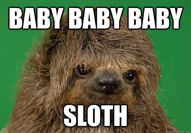 baby baby baby sloth - baby baby baby sloth  beiber sloth