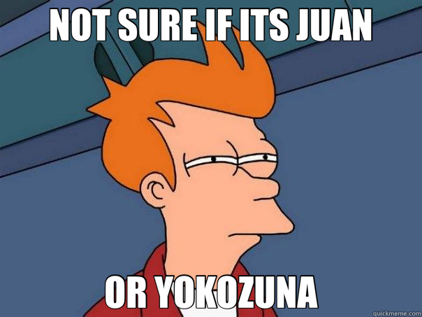 NOT SURE IF ITS JUAN OR YOKOZUNA  Futurama Fry