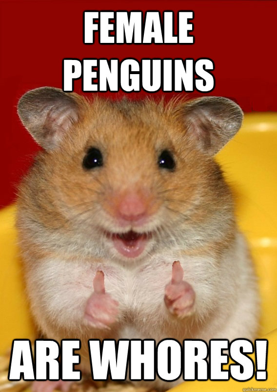 female penguins are whores!   Rationalization Hamster