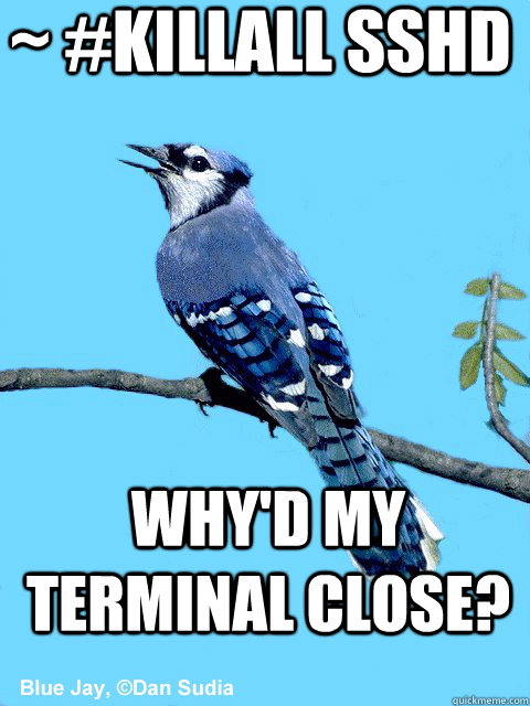 ~ #killall sshd Why'd my terminal close? - ~ #killall sshd Why'd my terminal close?  Blue Team Bird