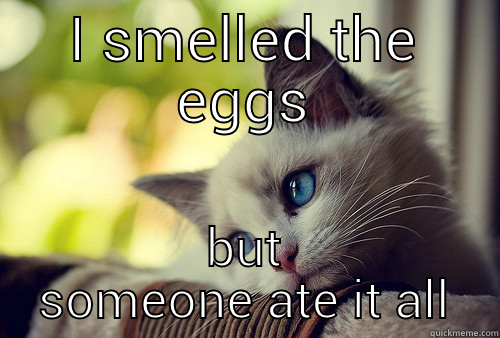 Men hvor var min morgenmad? - I SMELLED THE EGGS BUT SOMEONE ATE IT ALL First World Problems Cat