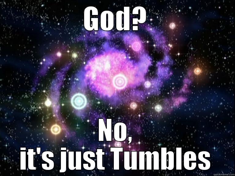 GOD? NO, IT'S JUST TUMBLES Misc