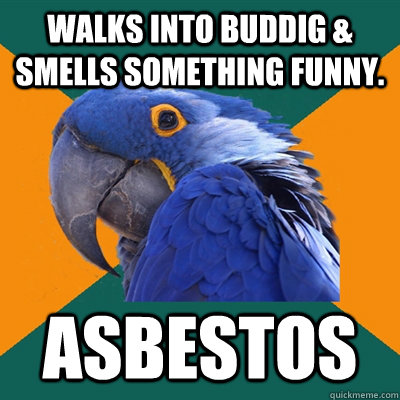 Walks into buddig & smells something funny. ASBESTOS  Paranoid Parrot