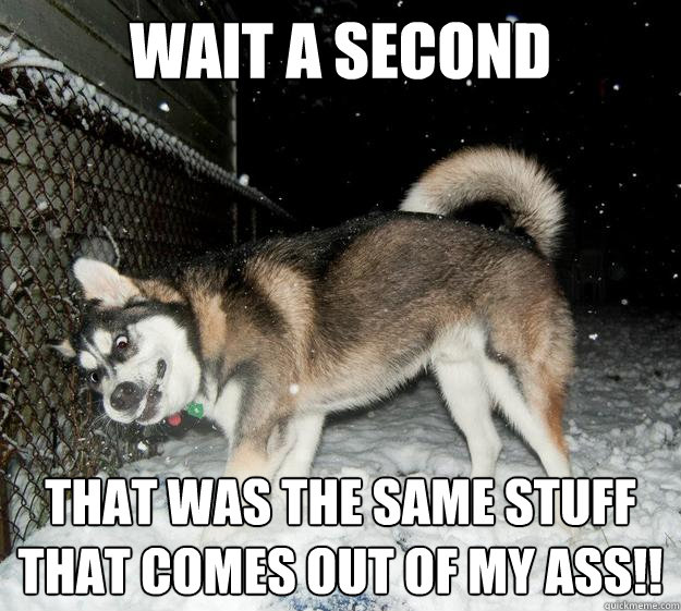 wait a second That was the same stuff that comes out of my ass!!  Sudden Clarity Canine