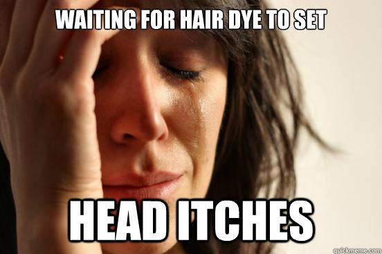 waiting for hair dye to set head itches  First World Problems