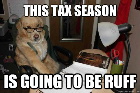 This tax season is going to be ruff  Financial Advice Dog