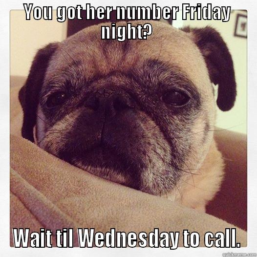 Advice pug - YOU GOT HER NUMBER FRIDAY NIGHT? WAIT TIL WEDNESDAY TO CALL. Misc