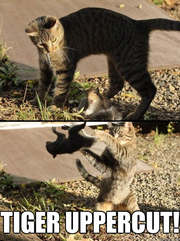  Tiger uppercut!  Annoying Squirrel