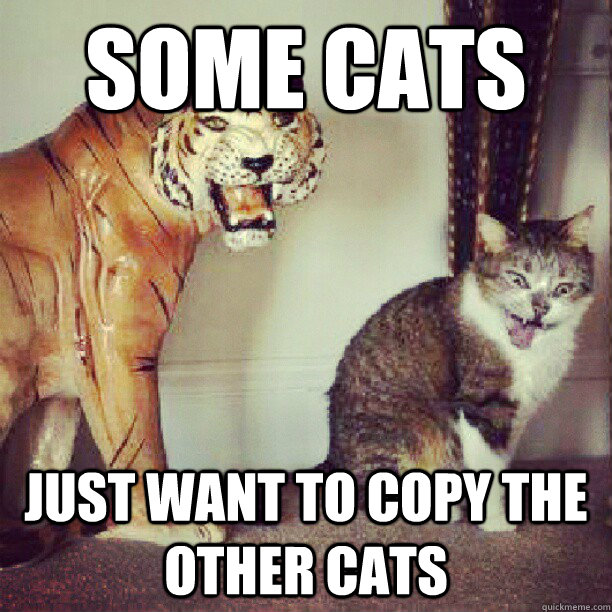 some cats just want to copy the other cats - some cats just want to copy the other cats  copycat