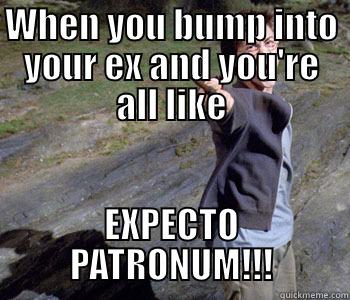 Soul Sucking Bitch - WHEN YOU BUMP INTO YOUR EX AND YOU'RE ALL LIKE EXPECTO PATRONUM!!! Misc