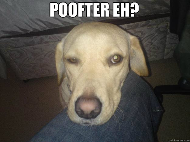 Poofter Eh?  