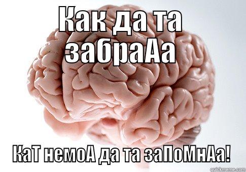 КАК ДА ТА ЗАБРААА КАТ НЕМОА ДА ТА ЗАПОМНАА! Scumbag Brain